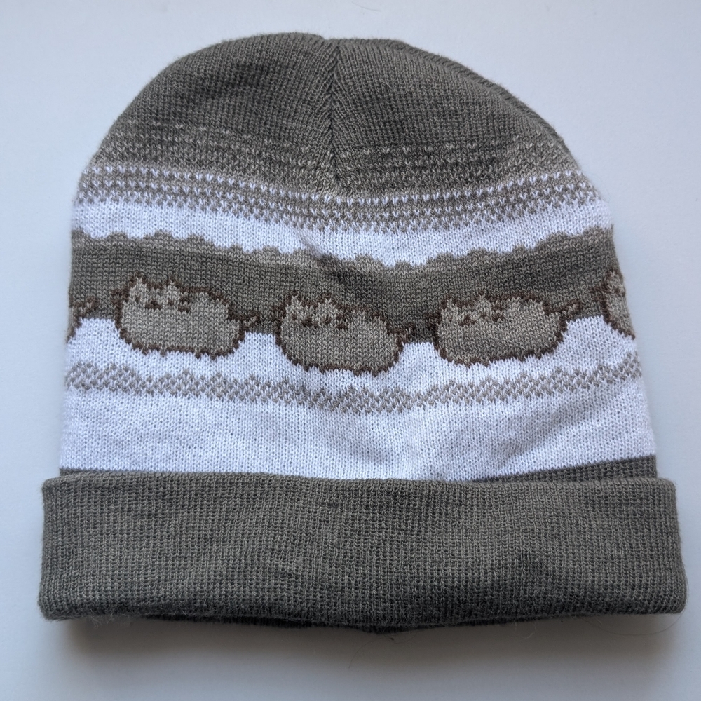 Pusheen Beanie Fall 2015 Pusheen Box Exclusive